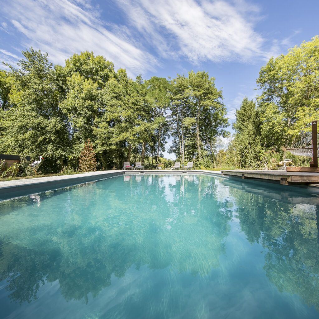 Une grande piscine pour un design impressionnant - EuroPiscine