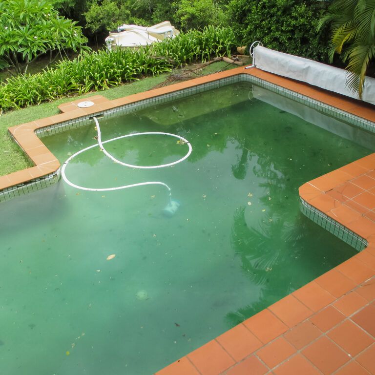 Eau verte de piscine