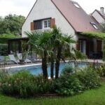 Piscine avec jardin arboré exotique