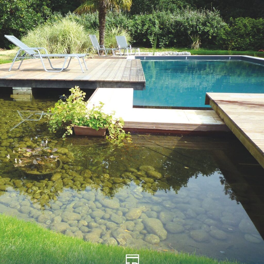 piscine bi-eaux naturelle 1