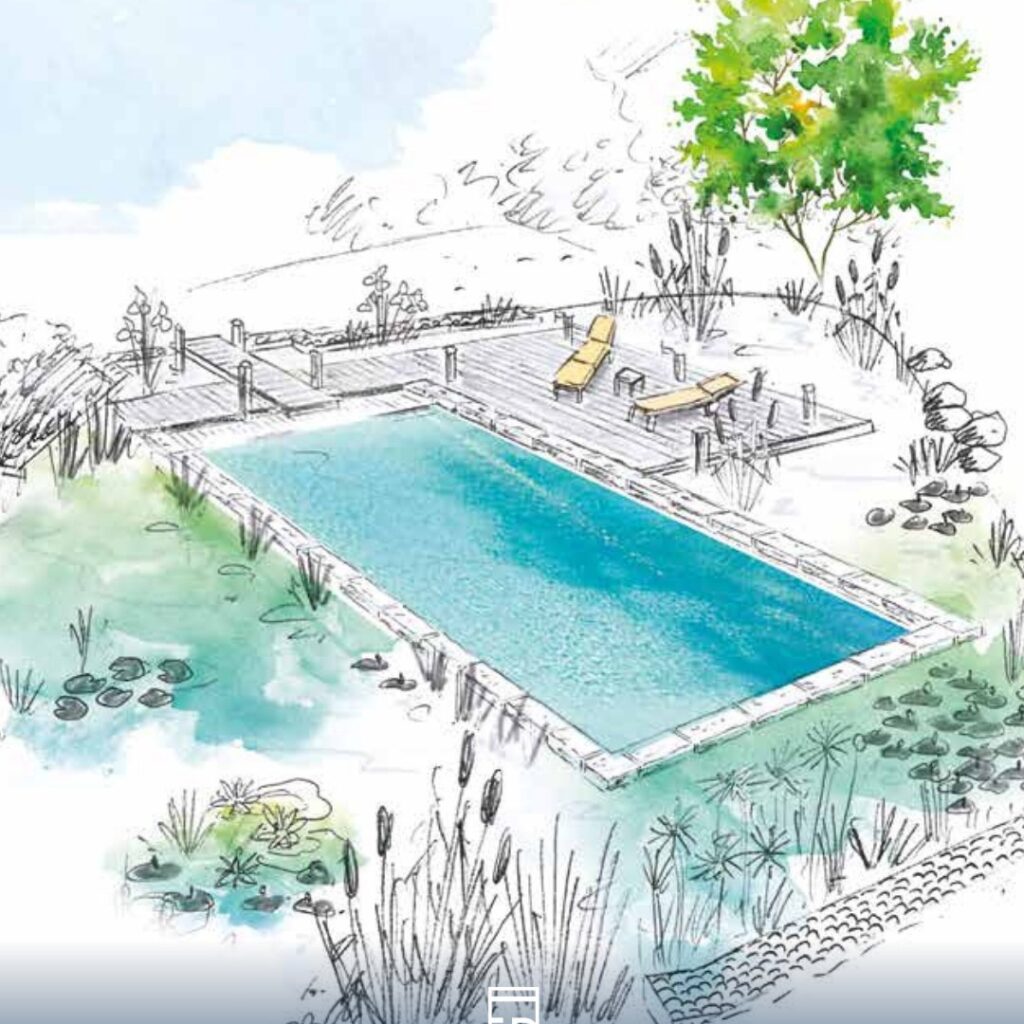 piscine naturelle bi-eaux 2
