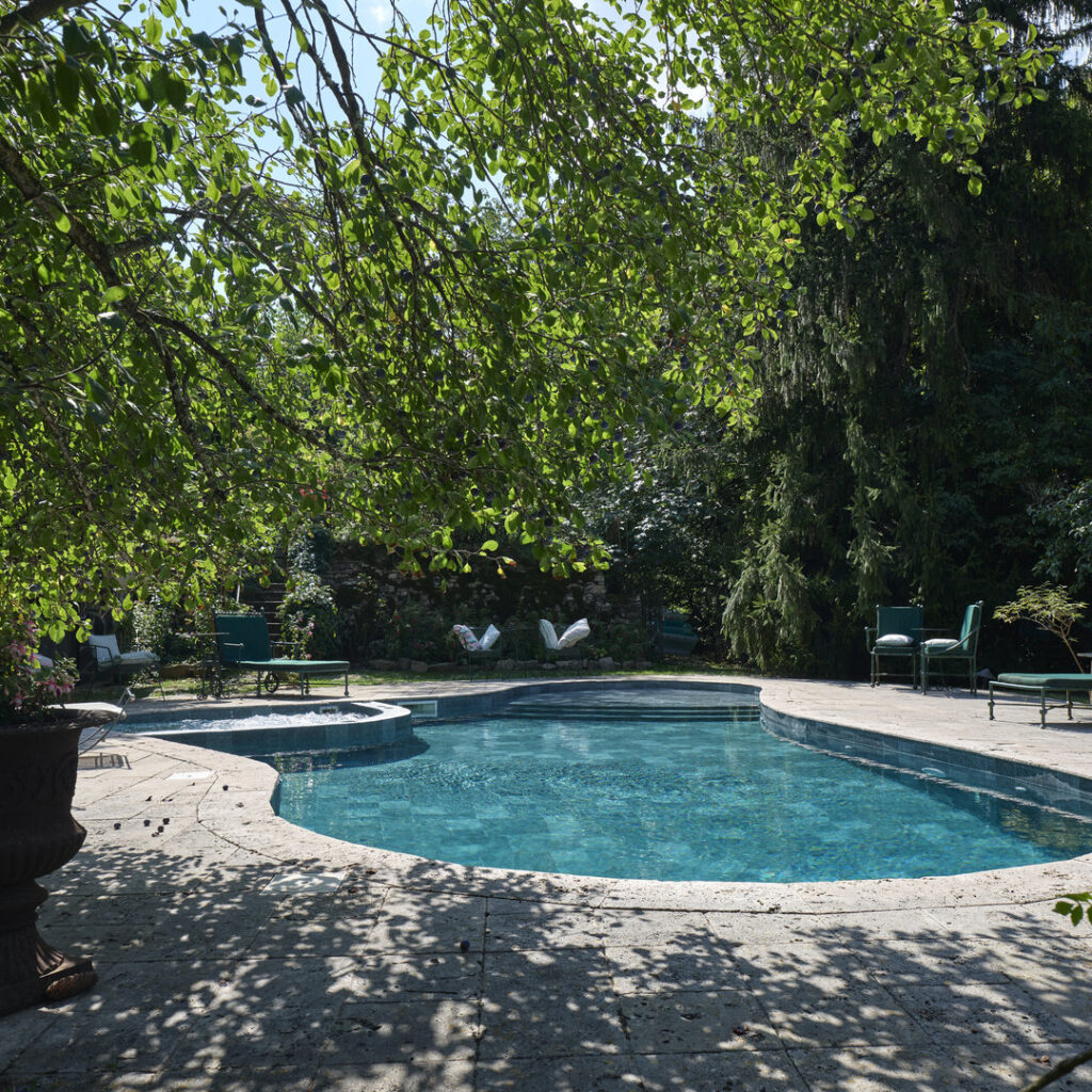 Rénovation Piscine Forme Libre - MB Catusse Piscines & Spas - 2024 5