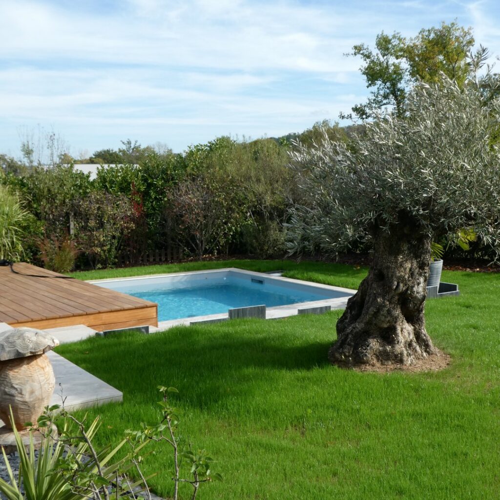 Mini Piscine & Concept Outdoor - B