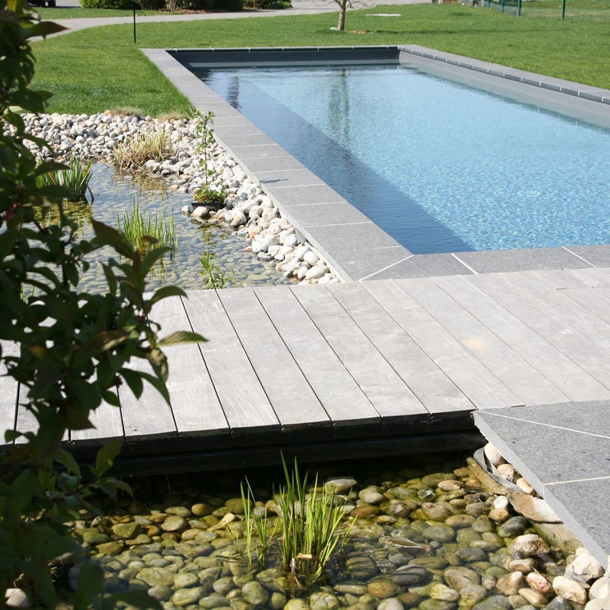 Piscine naturelle Bi-eaux avec bassin