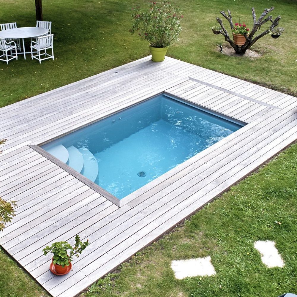 Mini-piscine paysagère agencé en espace détente